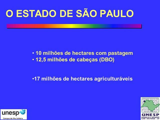 dracen_18_maio_2013 (63).JPG